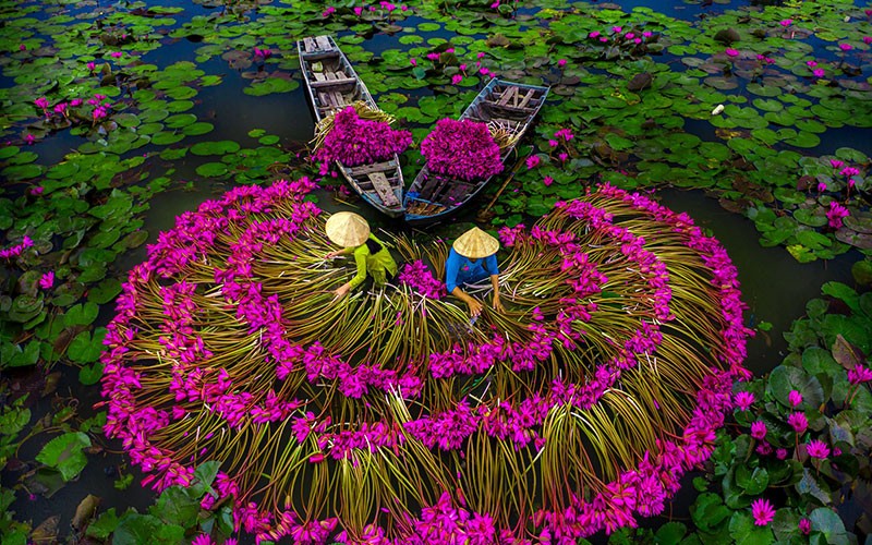 Thuê Xe Du Lịch 2 Ngày 1 Đêm Miền Tây Giá Tốt 2026