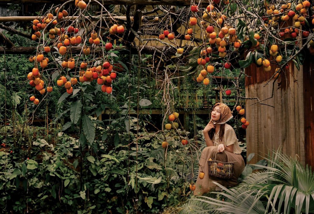 Giá Thuê Xe 29 Chỗ Tại Cần Thơ Đi Đà Lạt Giá Tốt